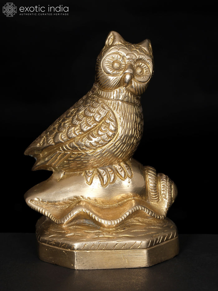 5" Brass Owl on Conch Statue for Home Decor