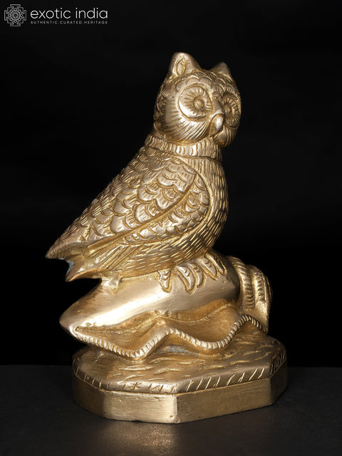 5" Decorative Brass Owl on Conch | Table Decor