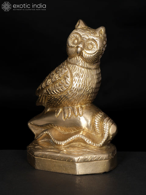 5" Decorative Brass Owl on Conch | Table Decor