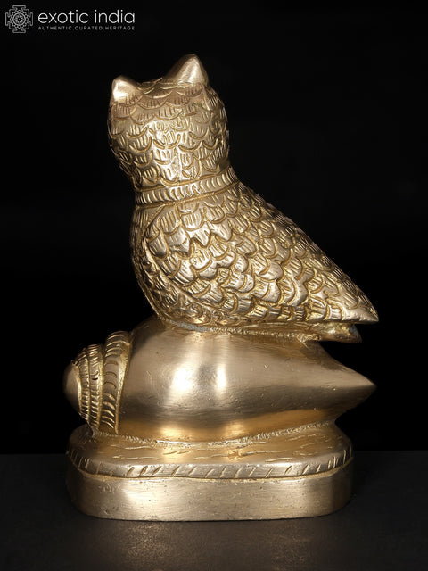 5" Decorative Brass Owl on Conch | Table Decor