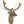 20" Brass Deer Wall Hanging Head | Home Decor