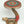19" Crocodile Design Round Table with Dangling Ghungroos | Brass with Inlay Work