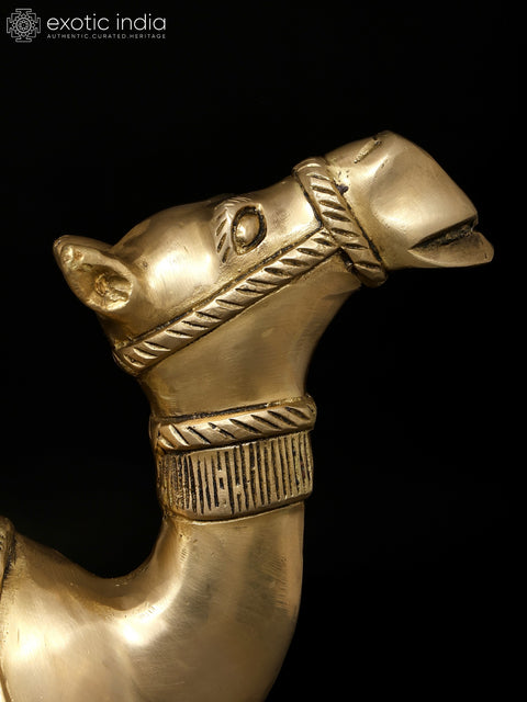 13" Sitting Camel | Decorative Brass Statue | Table Decor