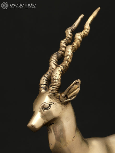 11" Brass Antelope | Decorative Statue | Home Decor