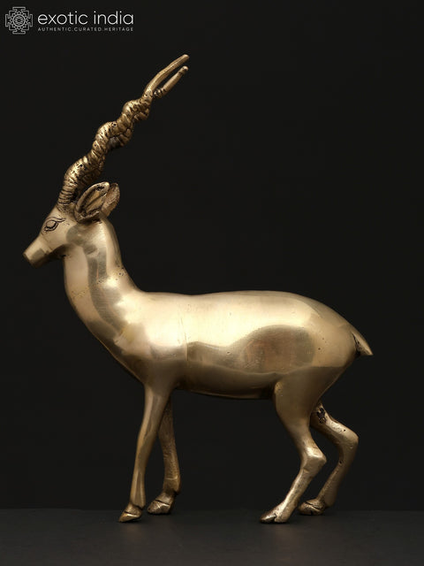11" Brass Antelope | Decorative Statue | Home Decor