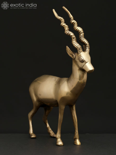 11" Brass Antelope | Decorative Statue | Home Decor