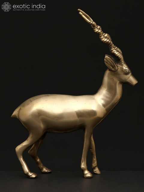 11" Brass Antelope | Decorative Statue | Home Decor