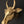 11" Wall Hanging Cow Head in Brass | Home Decor