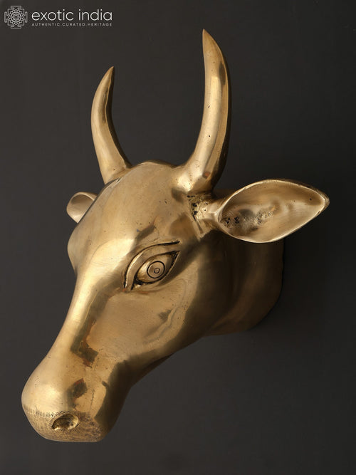 11" Brass Cow Head Wall Hanging Home Decor