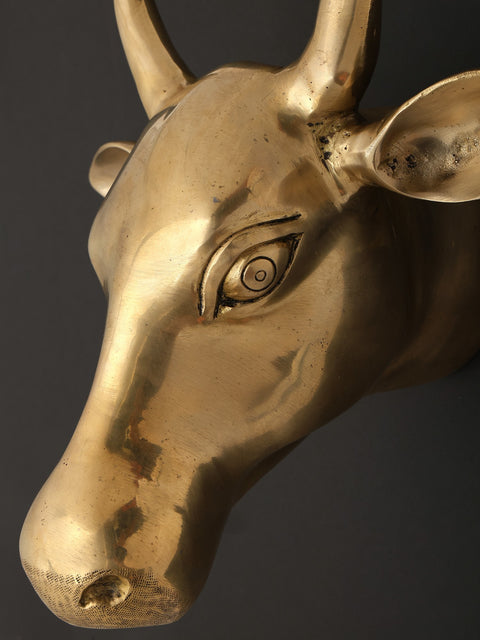 11" Wall Hanging Cow Head in Brass | Home Decor