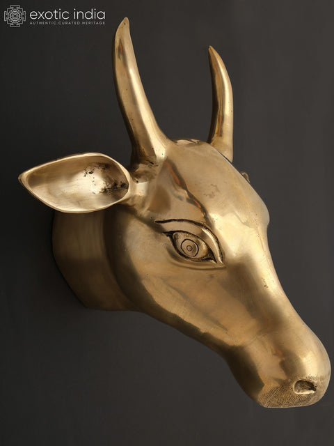 11" Wall Hanging Cow Head in Brass | Home Decor