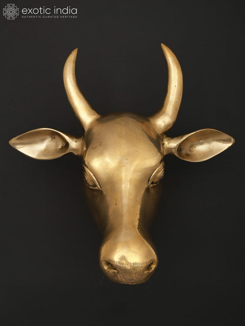 11" Wall Hanging Cow Head in Brass | Home Decor