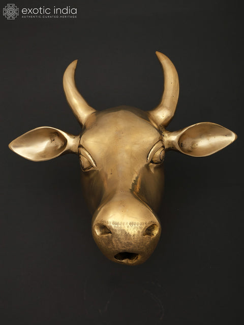 11" Wall Hanging Cow Head in Brass | Home Decor