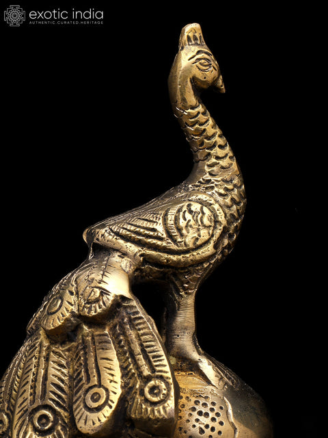 8" Beautiful Peacock with Diya | Brass Statue
