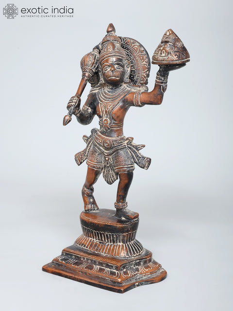 11" Brass Sanjivani Hanuman  | Handmade | Made In India