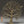 6" Small Brass Superfine Tree of Life with Perched Birds | Table Decor