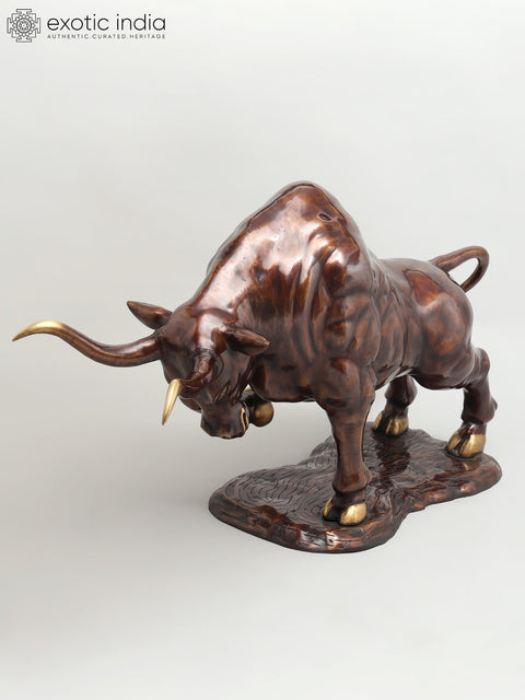 38" Attacking Angry Bull | Home Decor | Brass Statue
