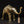 7" Brass Elephant with Upraised Trunk | Dhokra Art | Table Decor