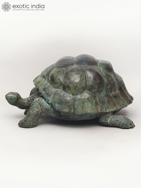29" Decorative Tortoise Statue in Brass | Large Decor Piece