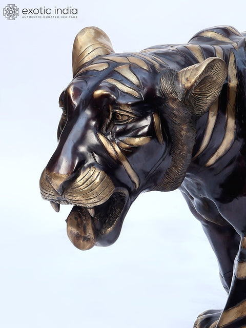 70" Large Tiger in Walking Gesture | Brass Statue | Made in India