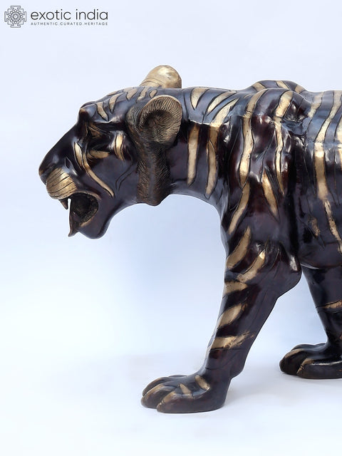 70" Large Tiger in Walking Gesture | Brass Statue | Made in India