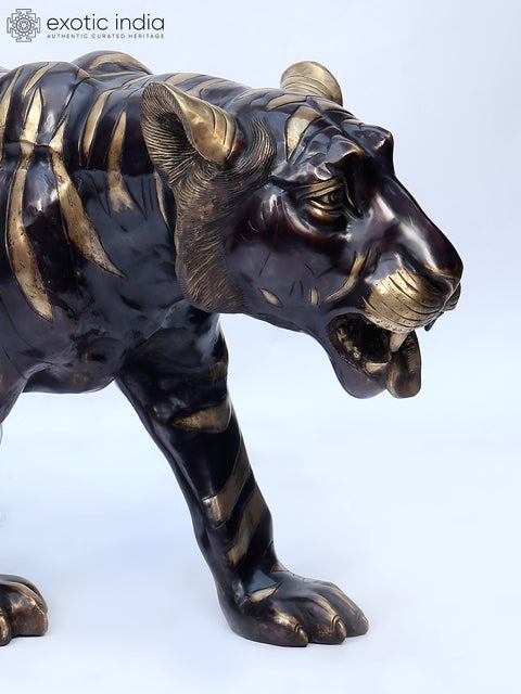 70" Large Tiger in Walking Gesture | Brass Statue | Made in India