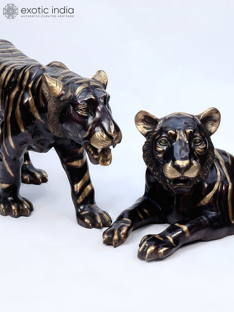 The Pair of Tiger in Resting Gesture | Brass Sculpture