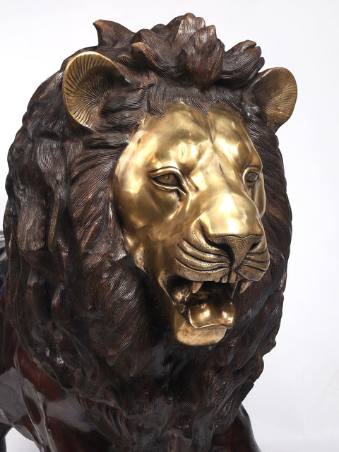 94" Large Hunting Lion Brass Statue | Made In India
