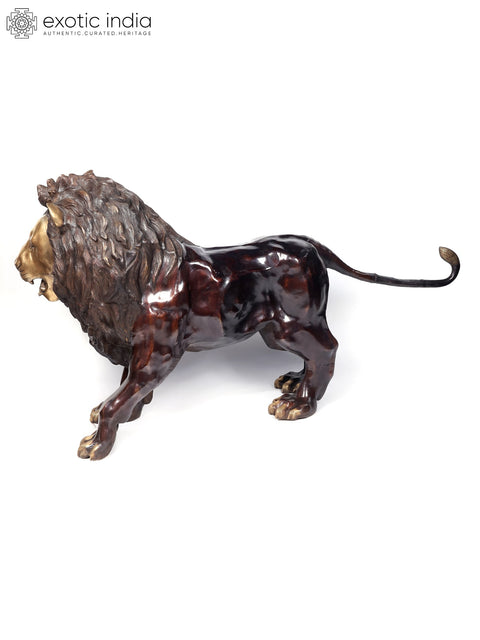 94" Large Hunting Lion Brass Statue | Made In India