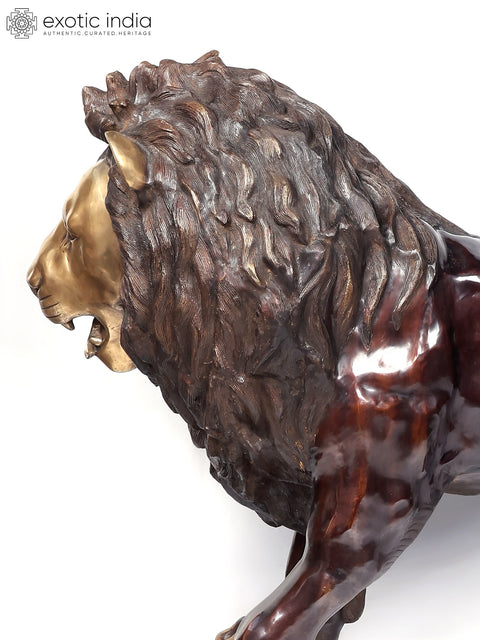 94" Large Hunting Lion Brass Statue | Made In India