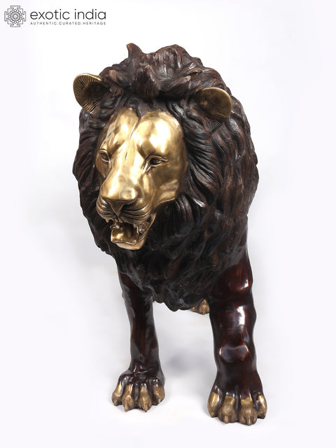 94" Large Hunting Lion Brass Statue | Made In India