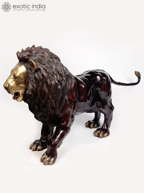 94" Large Hunting Lion Brass Statue | Made In India