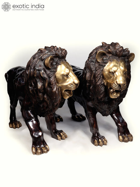 Large The Pair of Lion - Kings of The Wild | Brass Sculpture (Ships by Sea)