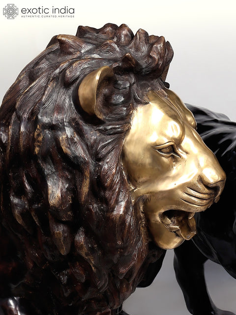 Large The Pair of Lion - Kings of The Wild | Brass Sculpture (Ships by Sea)