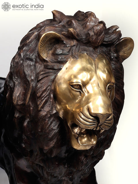 Large The Pair of Lion - Kings of The Wild | Brass Sculpture (Ships by Sea)