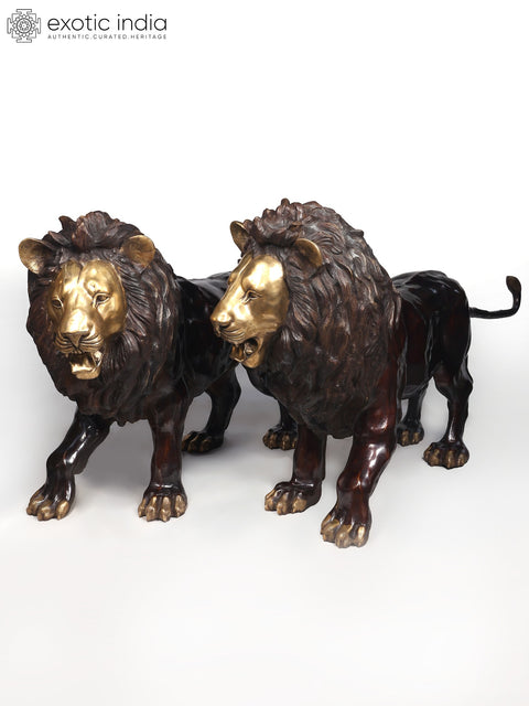 Large The Pair of Lion - Kings of The Wild | Brass Sculpture (Ships by Sea)