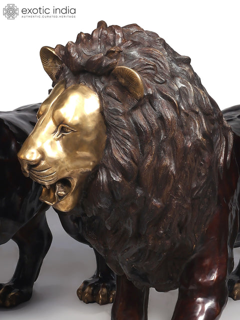Large The Pair of Lion - Kings of The Wild | Brass Sculpture (Ships by Sea)
