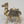 2" Small Superfine Camel Figurine | Brass Statue | Table Decor