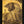 11" Majestic Tiger in The Wild | Wall Hanging Brass Statue