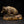 11" Power and Wilderness - Bear Statue | Table Decor