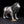6" Superfine Lion Figurine | Table Decor | Silver Plated Brass Statue
