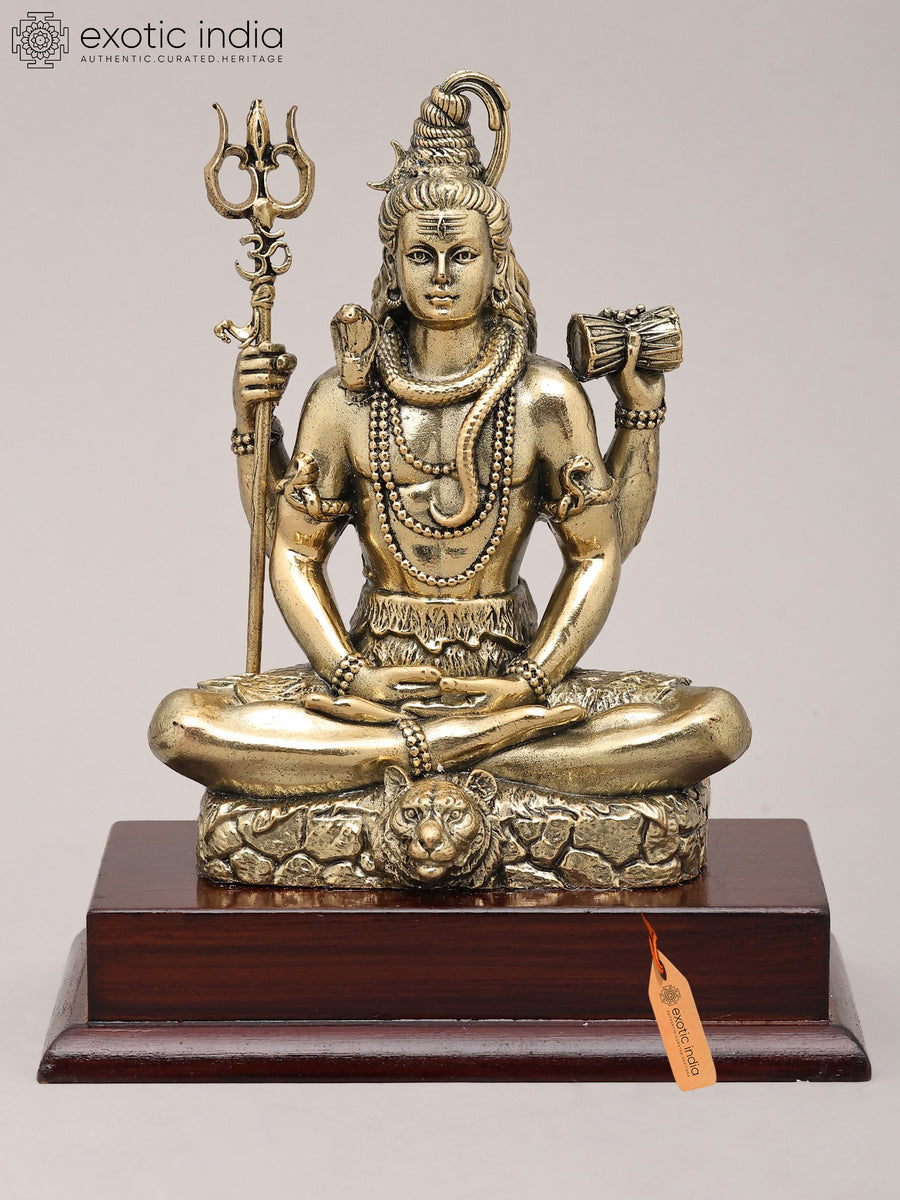 6" Handmade Chaturbhuja Shiva Meditation Brass Statue