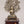 8" Superfine Idol of Lord Buddha Attaining Enlightenment Under The Bodhi Tree with Wood Base | Brass Statue