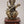 Superfine Seated Four Armed Goddess Saraswati with Wood Base | Brass Idol