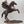 17" Brass Statue of Pegasus - Ready to Fly | Home Decor Item | Made in India