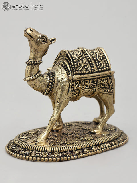 Superfine The Royal Camel Standing on Base | Brass Statue | Made in India