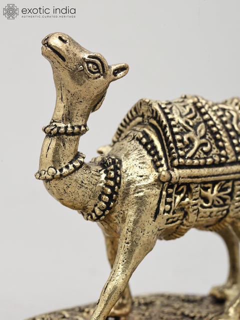 Superfine The Royal Camel Standing on Base | Brass Statue | Made in India