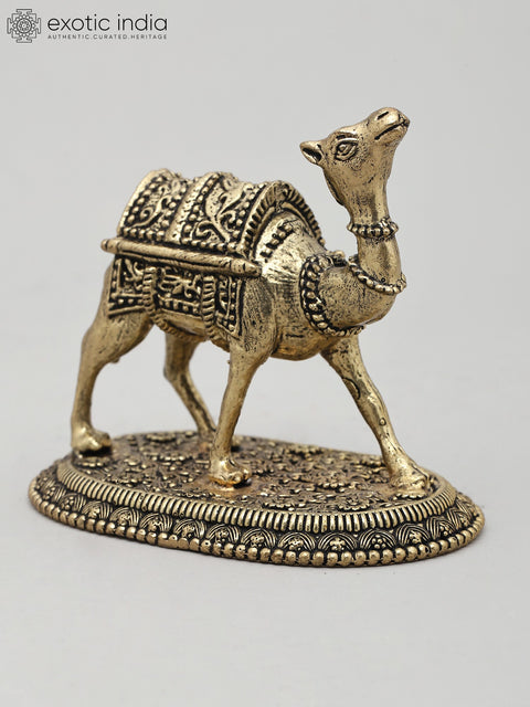 Superfine The Royal Camel Standing on Base | Brass Statue | Made in India