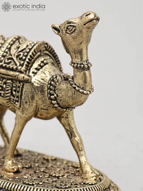 Superfine The Royal Camel Standing on Base | Brass Statue | Made in India