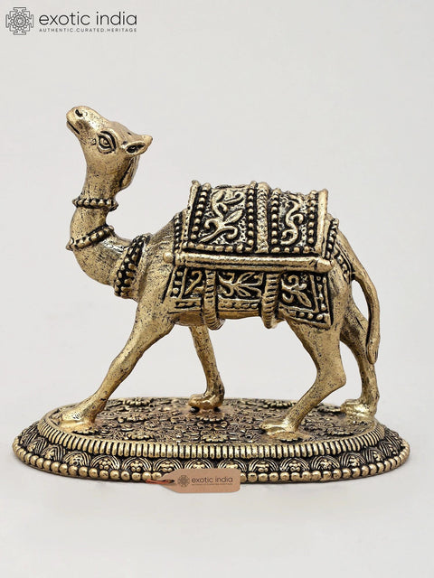 Superfine The Royal Camel Standing on Base | Brass Statue | Made in India